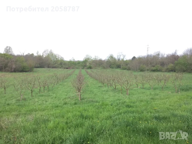 Земеделска земя с водоем и капково напояване