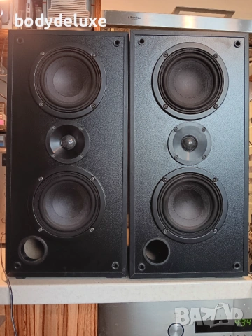 Grundig CL-BX 6  двулентови тонколони