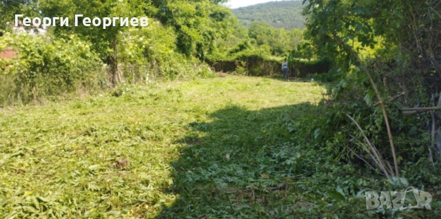 Градински услуги, снимка 4 - Други услуги - 51679291