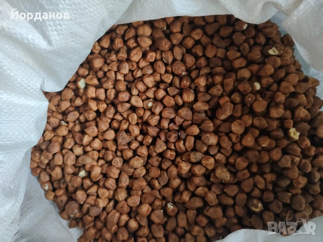 Български лешници без черупка - реколта 2025 г., снимка 8 - Други - 35210181