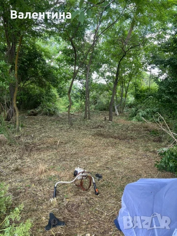 Почистване на дворове , снимка 3 - Други почистващи услуги - 50820860