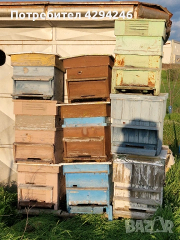 Пчелни кошери 