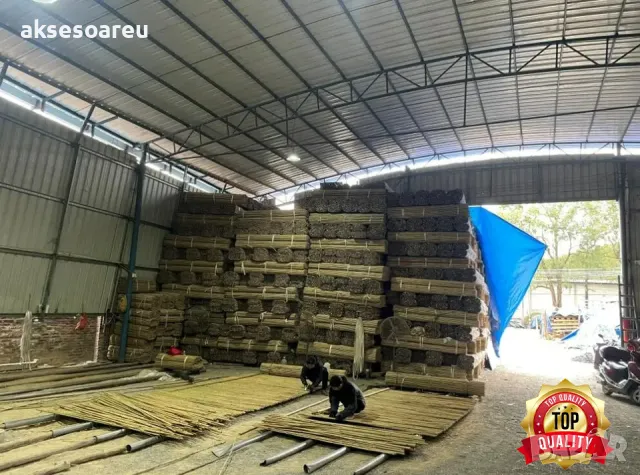 Качествени семена от бамбук Moso Bambo бързо растящи растения за дома бамбуков разсад за украса , снимка 9 - Сортови семена и луковици - 48994928