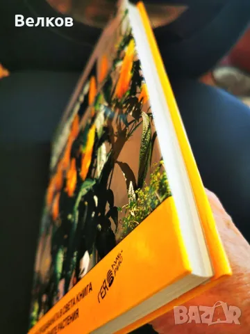 Експерт по стайните растения" - книга на д-р Д. Д. Xecaйон, снимка 6 - Специализирана литература - 48175543