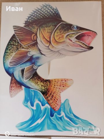 Стикер лепенка Риба Щука Елен Глиган Тигър за автомобил кола джип камион + подарък, снимка 3 - Аксесоари и консумативи - 28853901