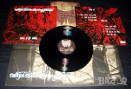 Грамофонни плочи Х 25.00 лева, снимка 18 - Грамофонни плочи - 50703781