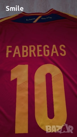 Футболна фланелка Испания / Фабрегас, снимка 8 - Футбол - 52281945