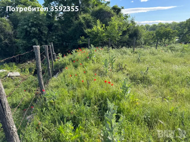Продавам парцел УПИ в село Коларово 802 кв., снимка 7 - Парцели - 56071656