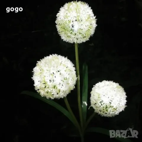 Соларни LED градински светлини - цветя, снимка 5 - Соларни лампи - 49156736