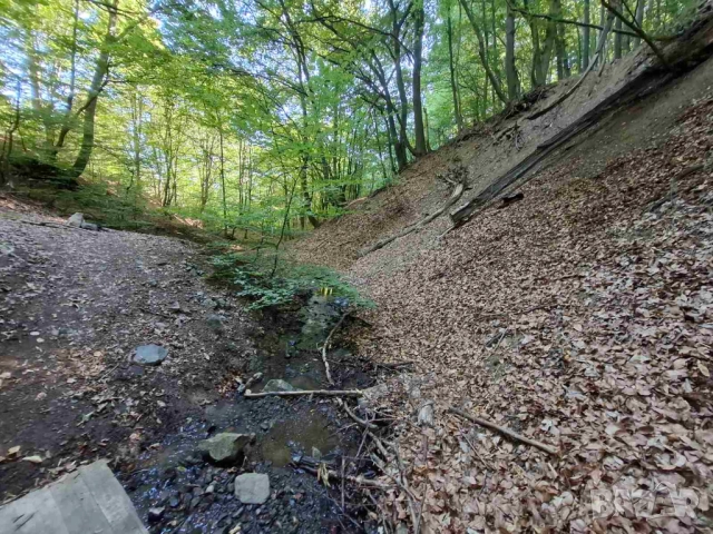  Продават се горски парцели в гр.Банкя, снимка 6 - Парцели - 51550899