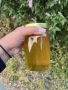 Био Липов пчелен мед от подножието на Троянския Балкан 🐝, снимка 4