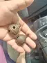Стари звънчета, бронзови, снимка 1