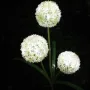 Соларни LED градински светлини - цветя, снимка 5