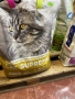 храна за котки в зряла възраст, снимка 5