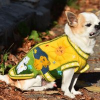  Ръчно бродирани перуански кучешки дрешки различни цветове и размери, снимка 8 - За кучета - 42804804