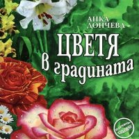 Цветя в градината, снимка 1 - Други - 37500232