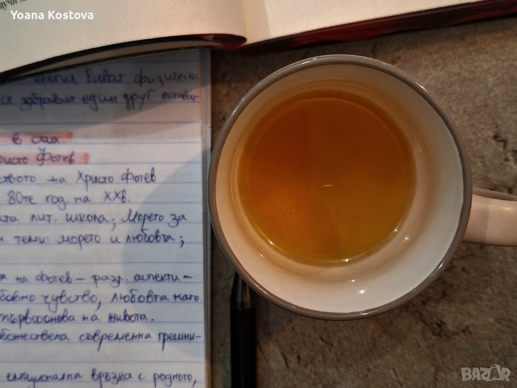 Онлайн уроци по литература , снимка 1