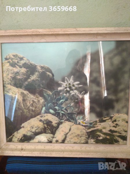 Картина от 70-те, снимка 1