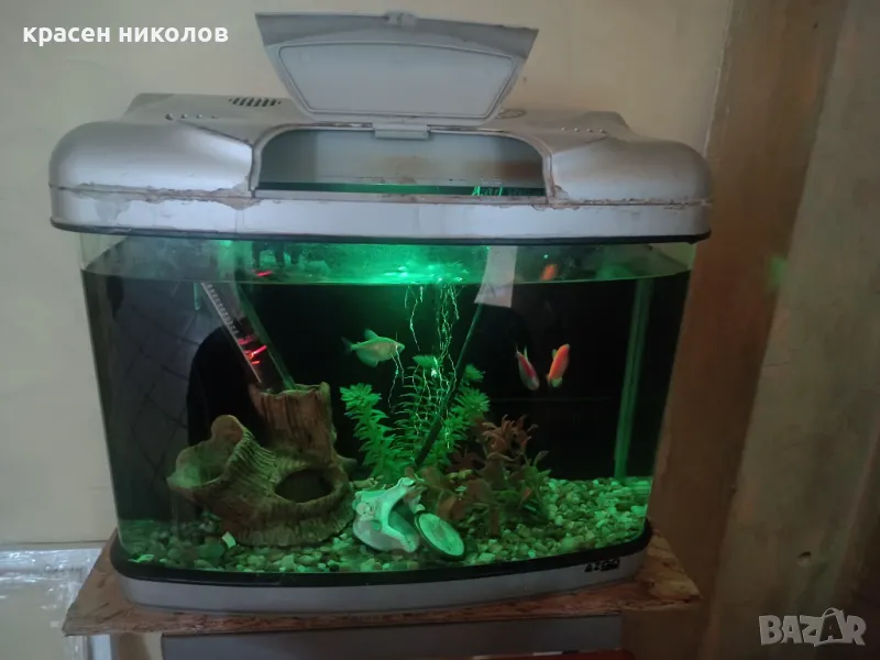 Самоподдържащ се Аквариум и принадлежности, снимка 1