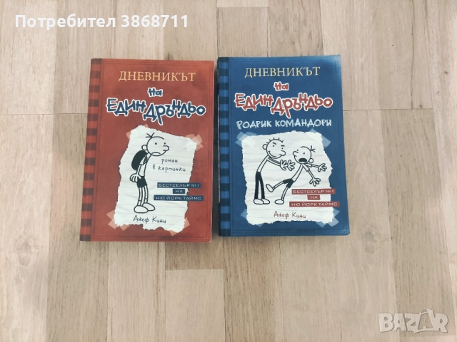 Дневникът на един дръндьо