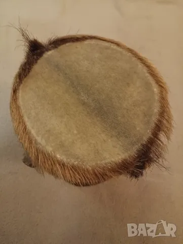 Африкански племенен музикален барабан, Сабар. , снимка 4 - Антикварни и старинни предмети - 48241140