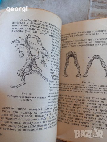 Стари книги, снимка 8 - Антикварни и старинни предмети - 39884387