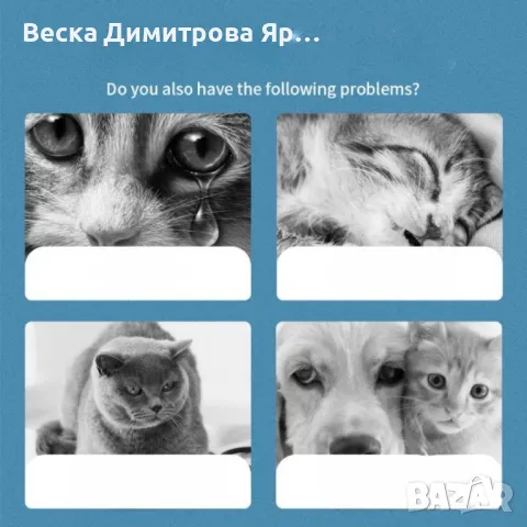 Спрей против кърлежи и бълхи за котки и кучета /Обем: 100 мл;, снимка 4 - За кучета - 48214886