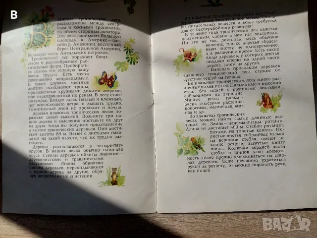 Пътешествие в джунглата Путешествие в джунгли, снимка 3 - Детски книжки - 50227643