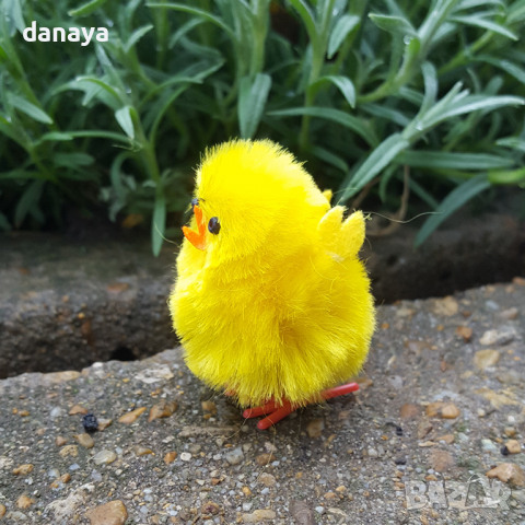 2831 Декоративно мини пиленце с крачета, 4 см, снимка 4 - Декорация за дома - 36507244