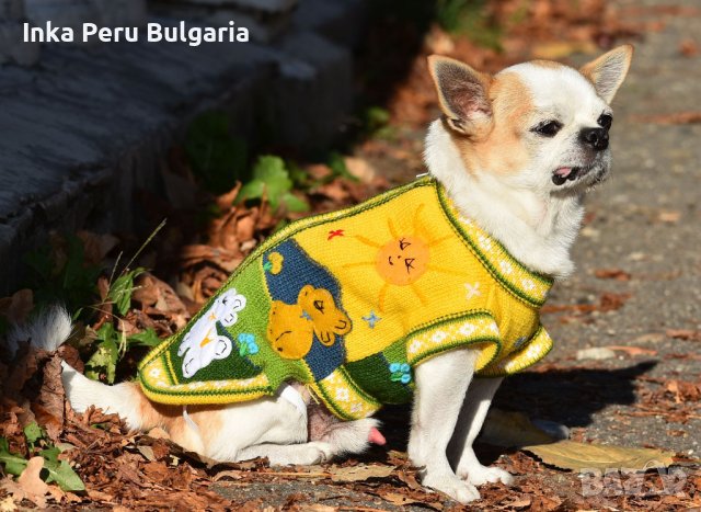 Ръчно бродирани перуански кучешки дрешки различни цветове и размери , снимка 6 - За кучета - 42821198