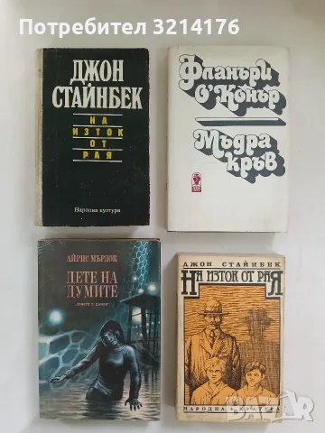 Дете на думите - Айрис Мърдок