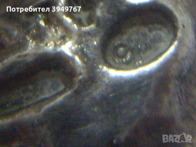 Старо интересно цвете., снимка 4 - Други - 50351374