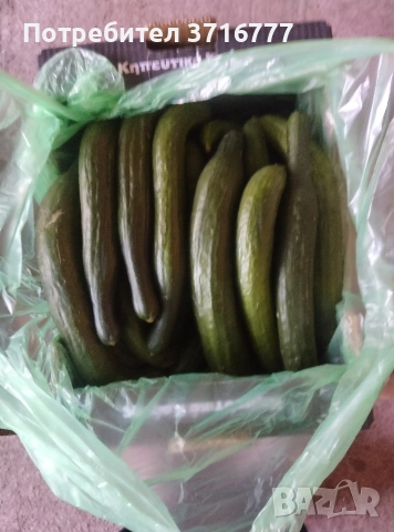 зеленчуци и плодове , снимка 8 - Други стоки за дома - 54265438