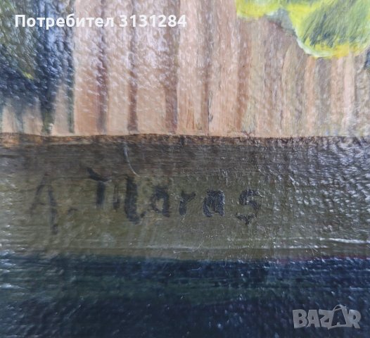 Антикварна  стара Картина   маслени бои  платно  подпис на автора, снимка 2 - Антикварни и старинни предмети - 42473432