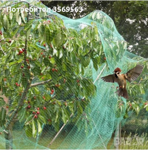 Градинска мрежа 4м×12м защита от гризачи и птици, снимка 4 - Огради и мрежи - 39260819