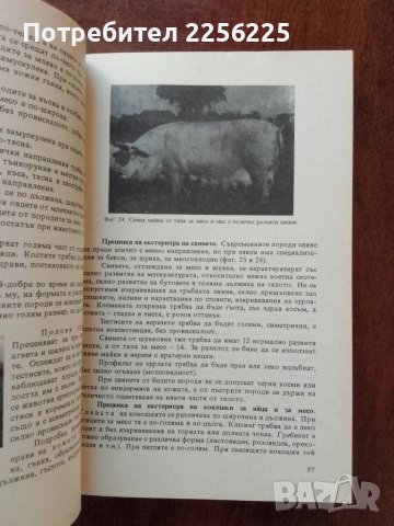 ЛОТ животновъдство, снимка 4 - Специализирана литература - 50732174