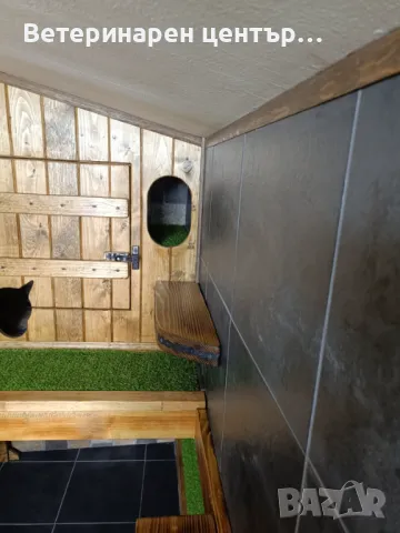 Хотел за котки Уговет , снимка 8 - Ветеринари и услуги - 49763338