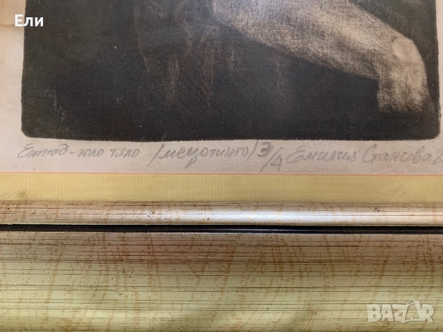 Литография на Емилия Станчева, снимка 2 - Картини - 52553559