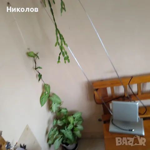 Антена "PHILIPS" "5€" нова!+Доставка!, снимка 3 - Приемници и антени - 56541531