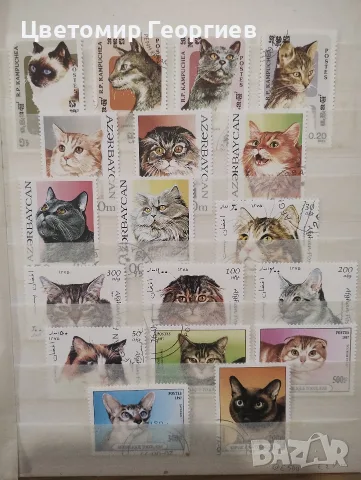 Класьор с марки /котки / 147 бр., снимка 3 - Филателия - 56504433