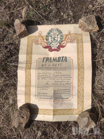 Грамота Грамота мотоциклетизъм ДОСО  купа София и републиканско