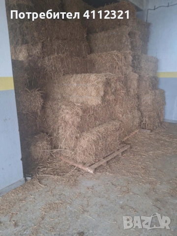 Люцерна доставка на място , снимка 3 - За селскостопански - 53224672