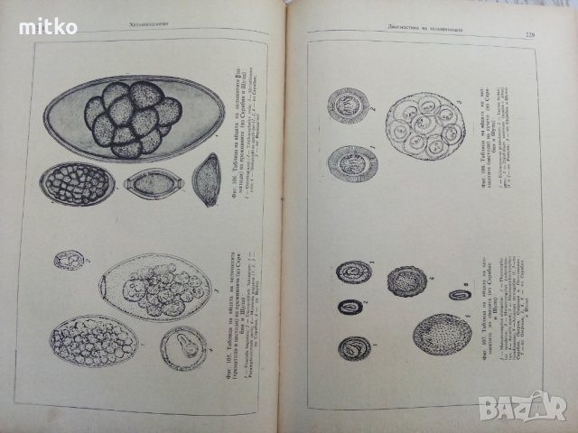 Ветеринарна паразитология - проф. К. Матов, снимка 4 - Специализирана литература - 31699175
