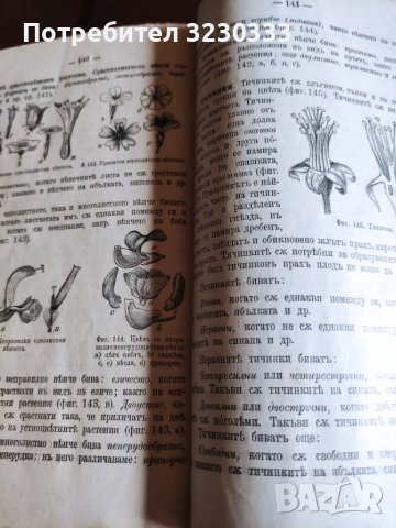 "Св. история"И Р.Блъсков 1895г.+Ботаника, снимка 5 - Антикварни и старинни предмети - 40739785