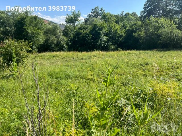 1533кв. ул. Митко Палаузов. До парк ''МАРКОТЕЯ', снимка 3 - Парцели - 50821367