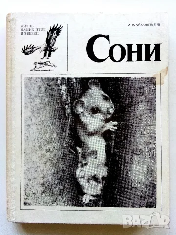 Сони - А.Е.Айрапетьянц - 1983г.