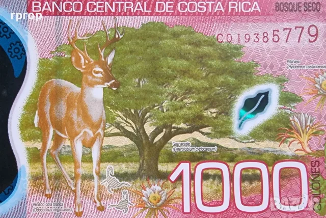Коста Рика .1000 колона .2019 година. UNC., снимка 2 - Нумизматика и бонистика - 45692995