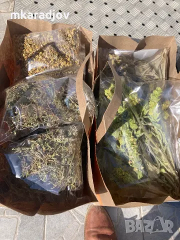 Чай, Билки, Подправки, плодове еко био, снимка 6 - Домашни продукти - 46647684