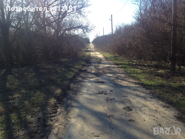 Голям парцел за застрояване в село Бежаново област Добрич собственик , снимка 5 - Парцели - 52341682