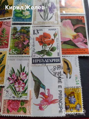 Пощенски марки серия ЦВЕТЯ поща България, Югославия редки за КОЛЕКЦИЯ 22659, снимка 13 - Филателия - 40316538